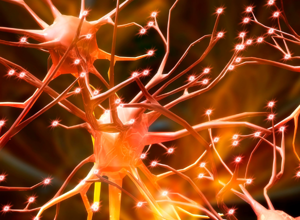 Neurology Neurology